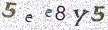 5ee8Y5