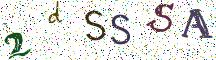 2dSSSA