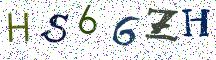 HS66ZH