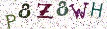 P8Z8WH