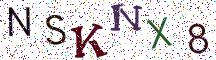 NSKNX8