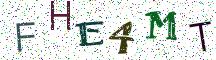 FHE4MT