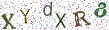 XYdXR8