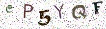 eP5YQF