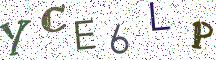 YCE6LP