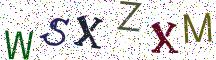 WSXZXM
