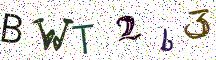 BWT2b3