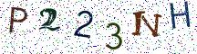 P223NH