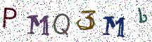 PMQ3Mb
