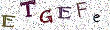 ETGEFe