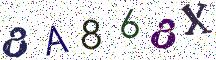 8A868X