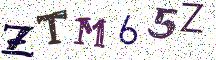 ZTM65Z
