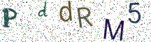 PddRM5