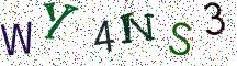 WY4NS3