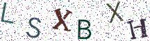 LSXBXH