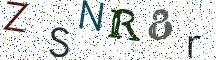 ZSNR8r