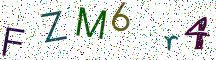 FZM6r4