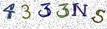 4333NS