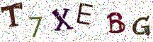 T7XEBG