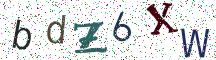 bdZ6XW