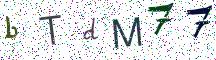 bTdM77