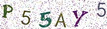 P55AY5