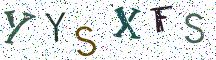 YYSXFS