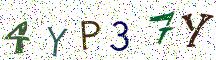 4YP37Y