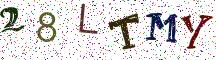 28LTMY