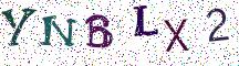 YNBLX2