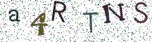 a4RTNS