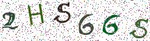 2HS66S