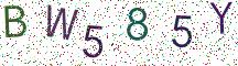 BW585Y