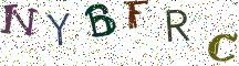 NYBFRC