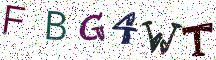 FBG4WT