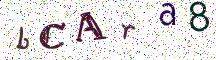 bCAra8