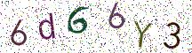 6d66Y3