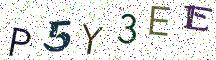 P5Y3EE