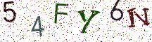 54FY6N