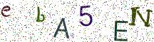 ebA5EN