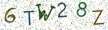 6TW28Z