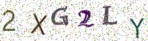 2XG2LY