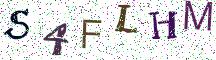 S4FLHM
