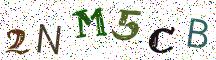 2NM5CB