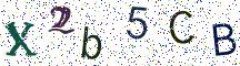 X2b5CB