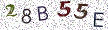 28B55E