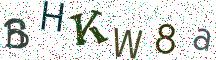 BHKW8a