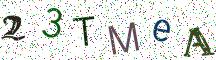 23TMeA
