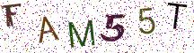 FAM55T