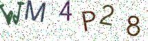 WM4P28